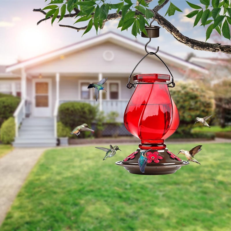 BOLITE Hummingbird Feeder, BOLITE Glass Hummingbird Feeders for Outdoors Hanging, with Ant Moat and Five Feeding Ports, 22 Ounces, Leak Proof, Red Bottle - Image 2