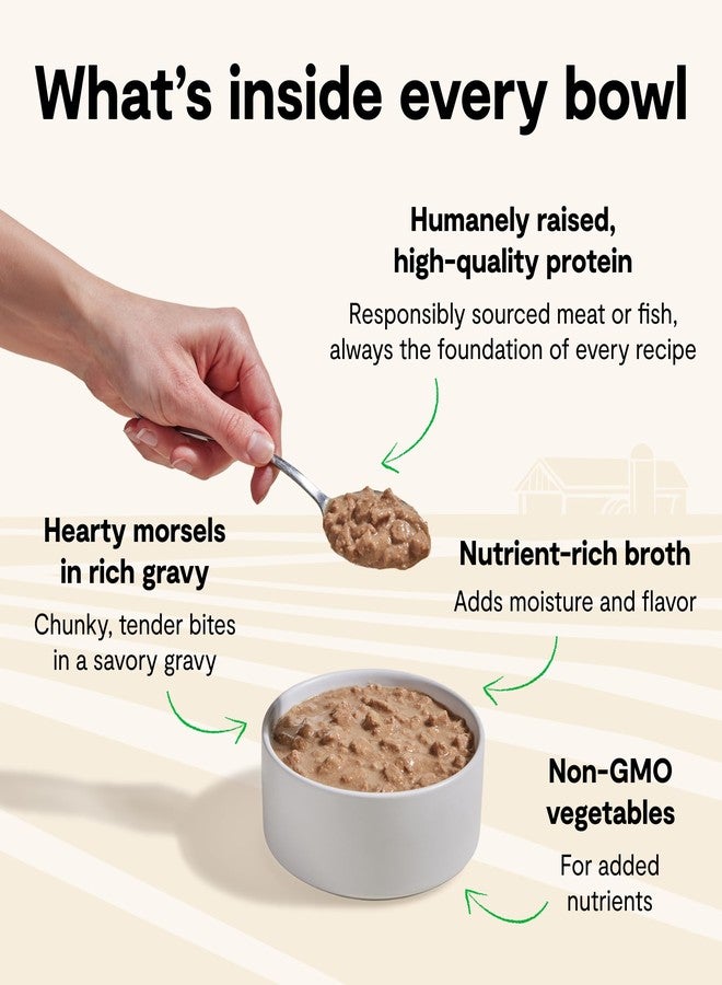 Open Farm, Morsels in Gravy, Grain Free Wet Cat Food, Harvest Chicken Recipe, 5.3oz Cans (Case of 12) - Image 3