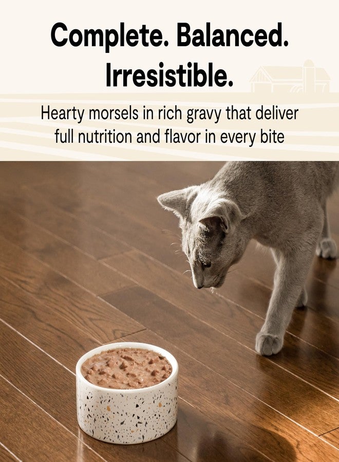 Open Farm, Morsels in Gravy, Grain Free Wet Cat Food, Harvest Chicken Recipe, 5.3oz Cans (Case of 12) - Image 2