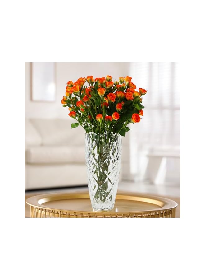 The Bros مزهرية زهور زجاجية، 25 سم مزهرية حديثة بسيطة، مزهرية زجاجية شفافة سميكة مبتكرة، ديكور ترتيب زهور مصنوع يدويًا، زينة مائية لطاولة الطعام، غرفة المعيشة، غرفة النوم - Image 3