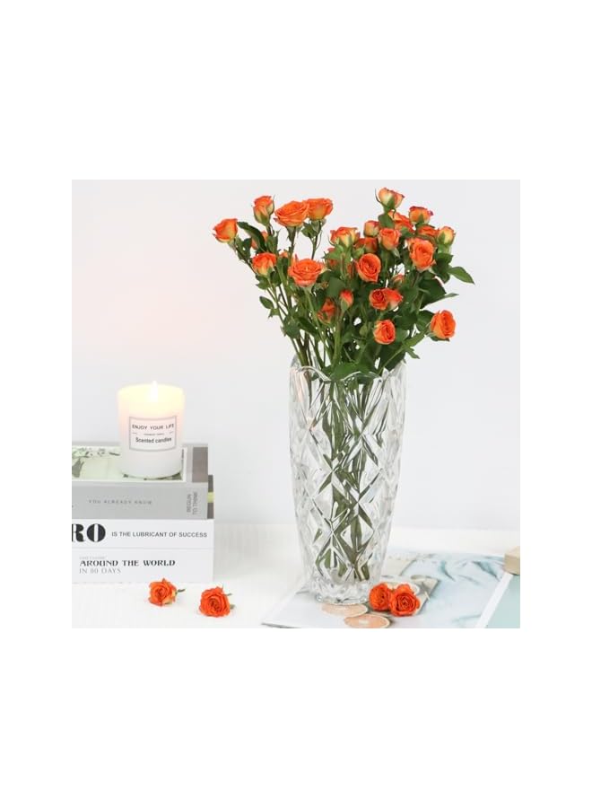 The Bros مزهرية زهور زجاجية، 25 سم مزهرية حديثة بسيطة، مزهرية زجاجية شفافة سميكة مبتكرة، ديكور ترتيب زهور مصنوع يدويًا، زينة مائية لطاولة الطعام، غرفة المعيشة، غرفة النوم - Image 5