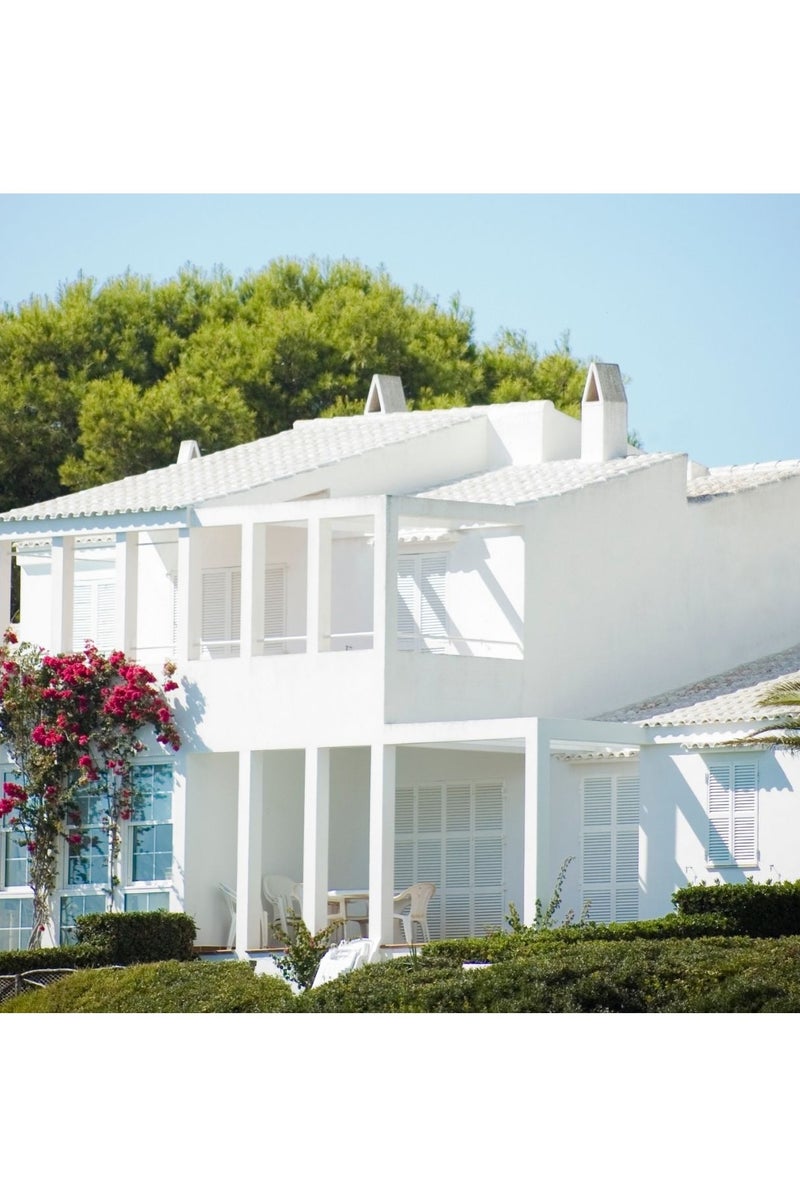  اويسس اصباغ طلاء الجدران الخارجية أواسيس ماكس شيلد 900 مل – حماية طويلة الأمد، تشطيب غير لامع، تركيبة مائية - Image 5