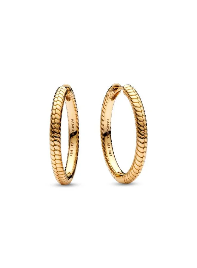 باندورا Pandora Moments Charm Hoop Earrings