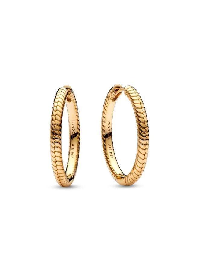 Pandora Moments Charm Hoop Earrings