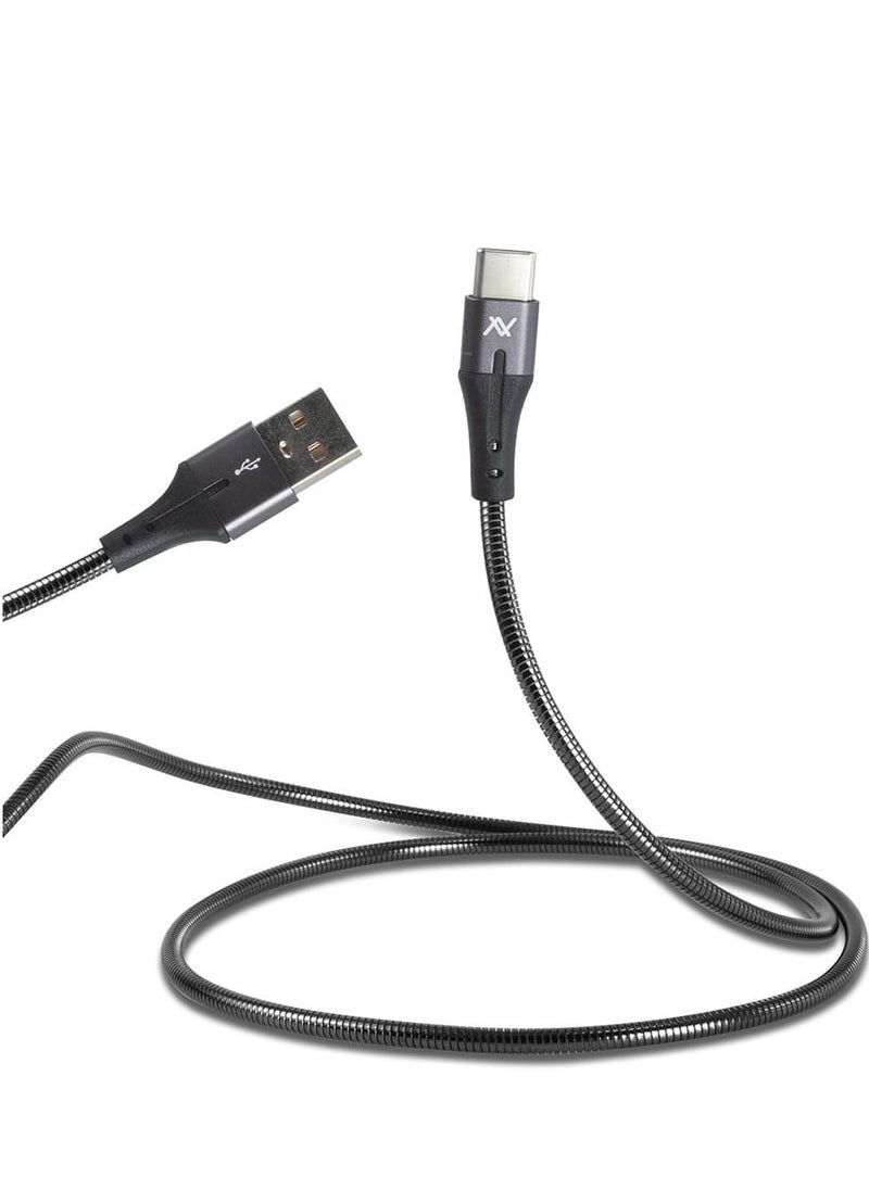 LAVVENTO L'AVVENTO (MP034) Metal Cable with Metal Connectors USB to Type C - Silver  - Image 1