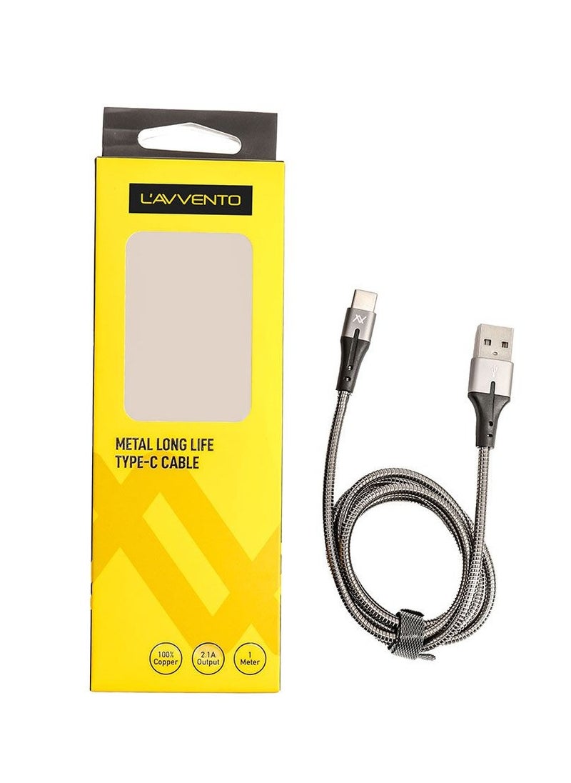 LAVVENTO L'AVVENTO (MP034) Metal Cable with Metal Connectors USB to Type C - Silver  - Image 4