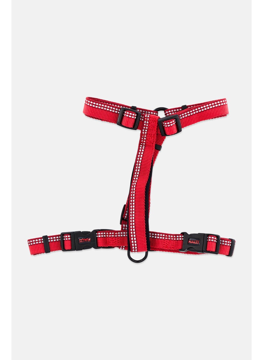 Company of Animals Halti Walking Harness, Red  - Image 1