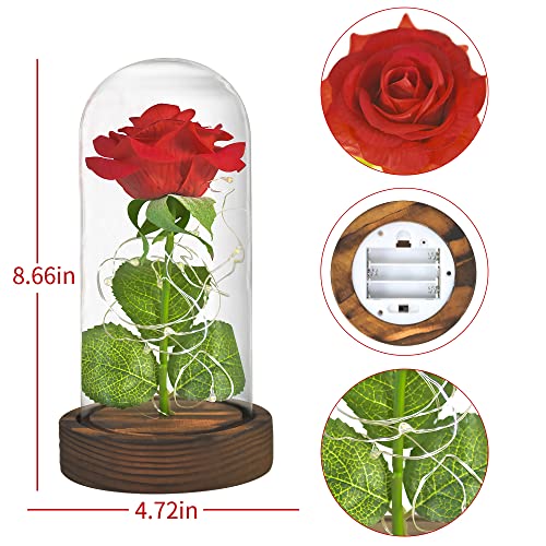 SW Preserved Rose Enchanted Rose Red Silk Rose in Glass Dome with LED Lights Pine Base, Romantic Home Decor Gifts for Mom Women Valentines Day Christmas Mothers Day Wedding Anniversary Birthday - Image 5