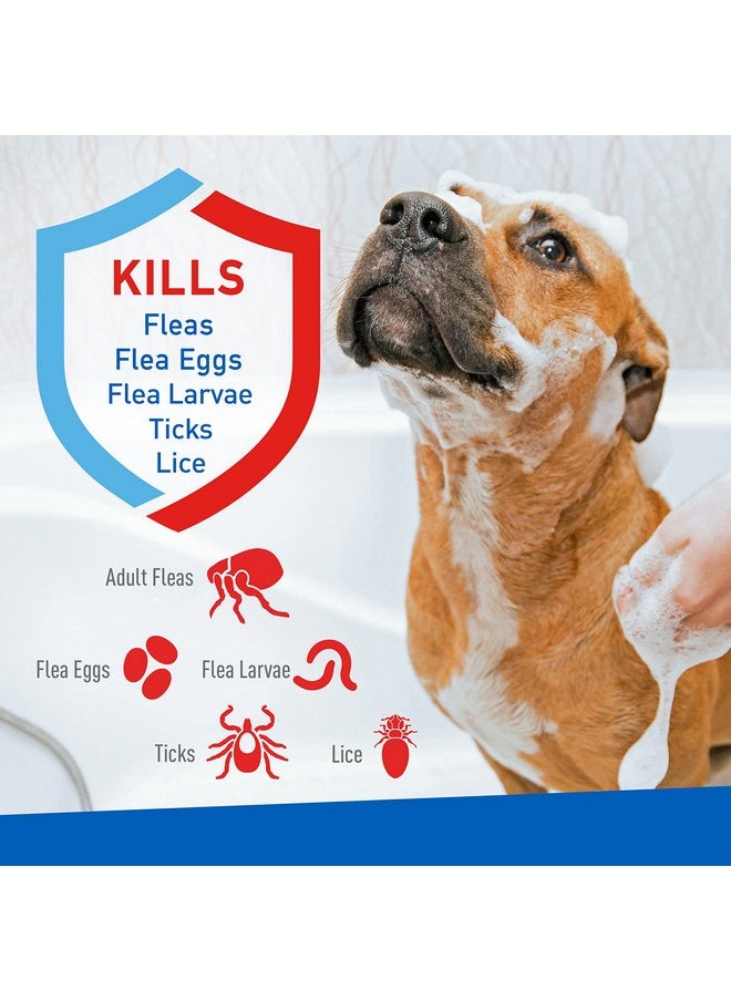 ADAMS Adams Plus Flea & Tick Shampoo with Precor for Cats, Kittens, Dogs & Puppies Over 12 Weeks Of Age |Sensitive Skin Flea Treatment for Dogs & Cats |Kills Adult Fleas, Flea Eggs, Ticks, and Lice |6 Oz  - Image 3