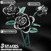 Ancesfun Black Rose Building Blocks Set for Kids 634PCS Flower Bouquet Brick Toy Romantic Gift for Girls Women Valentines Day Birthday Mothers Day Halloween DIY Artificial Plant for Home Decor - Image 4