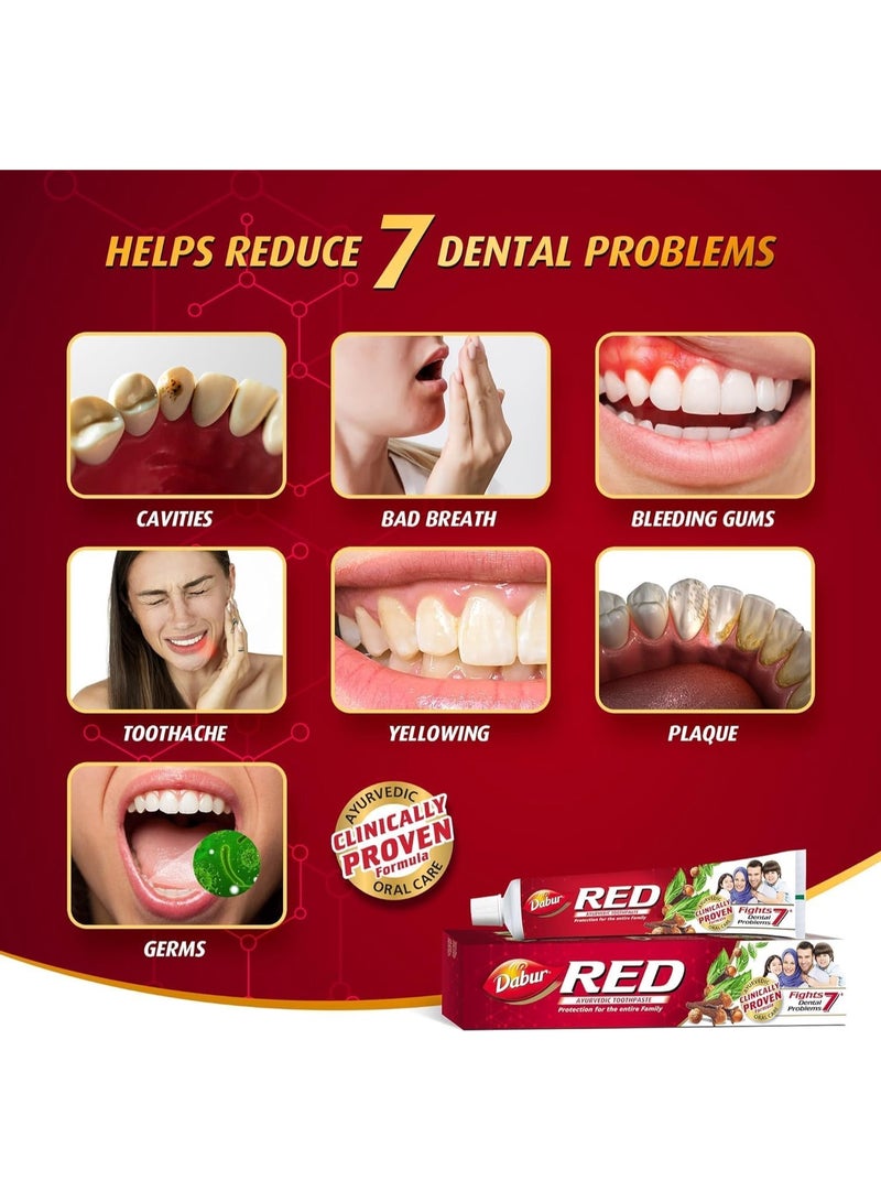 دابر معجون أسنان ريد أيورفيدا من دابور غني بـ13 مكون قوي - زيت القرنفل والبودينا ساتفا وتومر بيج والزنجبيل | يساعد على تقليل 7 مشاكل - 200 جرام عبوة قطعتين تنظيف عميق - Image 5
