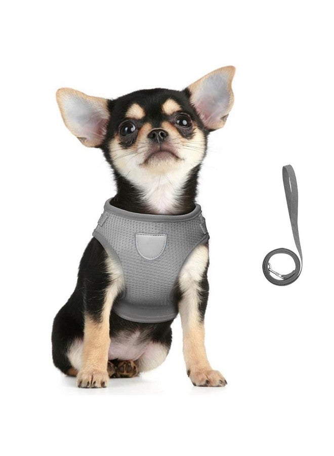 Homestic Reflective Dog Harness With Adjustable Leash|Breathable Polyester Mesh Fabric |Large Size|Ht-844|Comfortable No-Pull Grip|Quick Release Buckles|Easy On - Easy Off Harness|Grey - Image 1