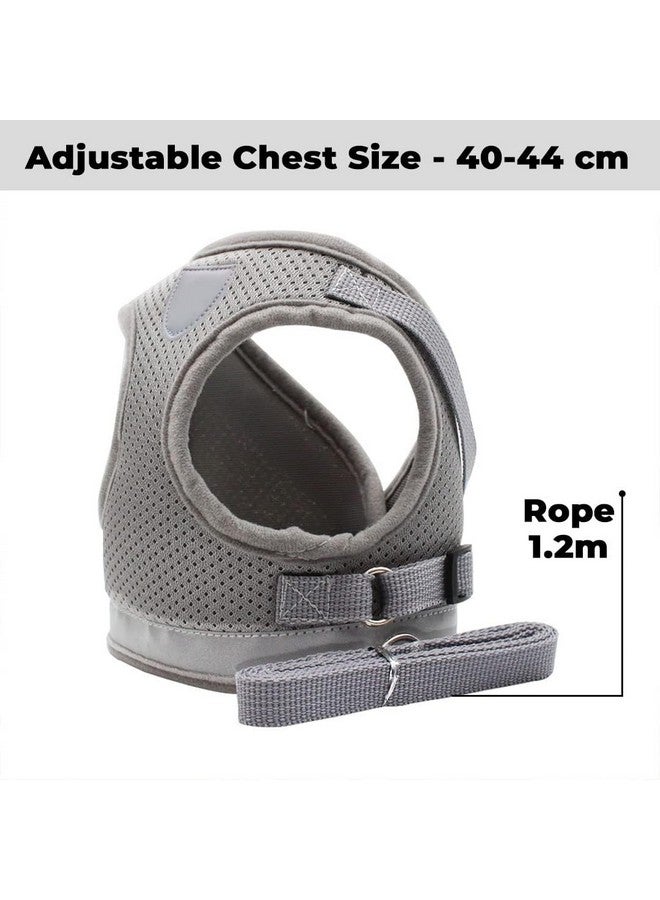 Homestic Reflective Dog Harness With Adjustable Leash|Breathable Polyester Mesh Fabric |Large Size|Ht-844|Comfortable No-Pull Grip|Quick Release Buckles|Easy On - Easy Off Harness|Grey - Image 4