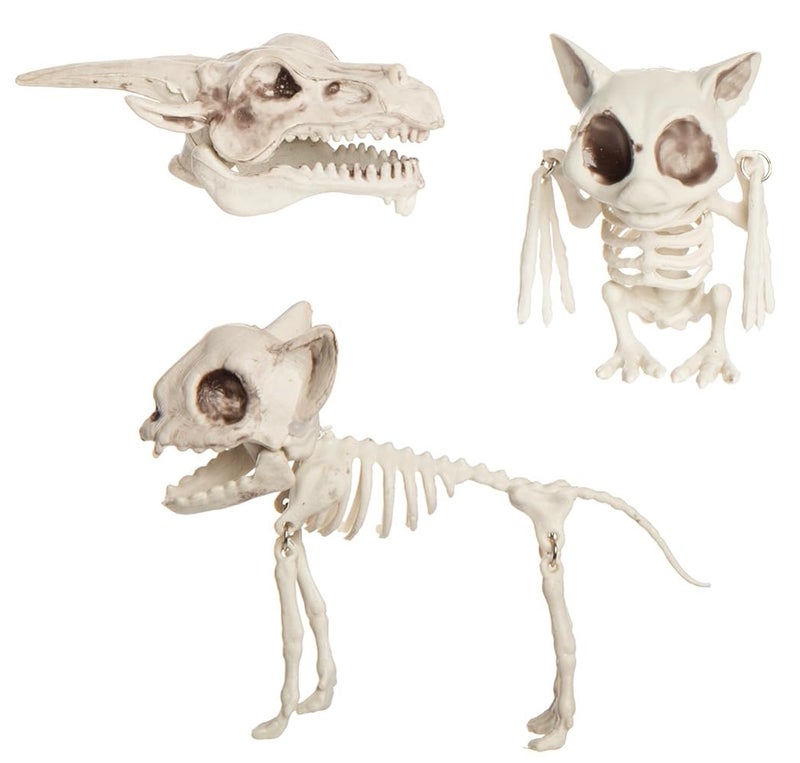 The Bridge Collection Mesh Bag of Skeleton Animals Figurines Set of 3 Skeletons Halloween Decor for Spooky Season Skeleton Decor