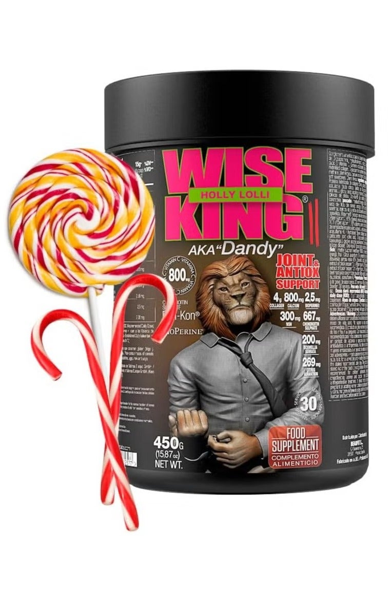 Zoomad Labs, Wise King, Joint & Antiox Support, 450g, Holly Lolli, 30 Servings