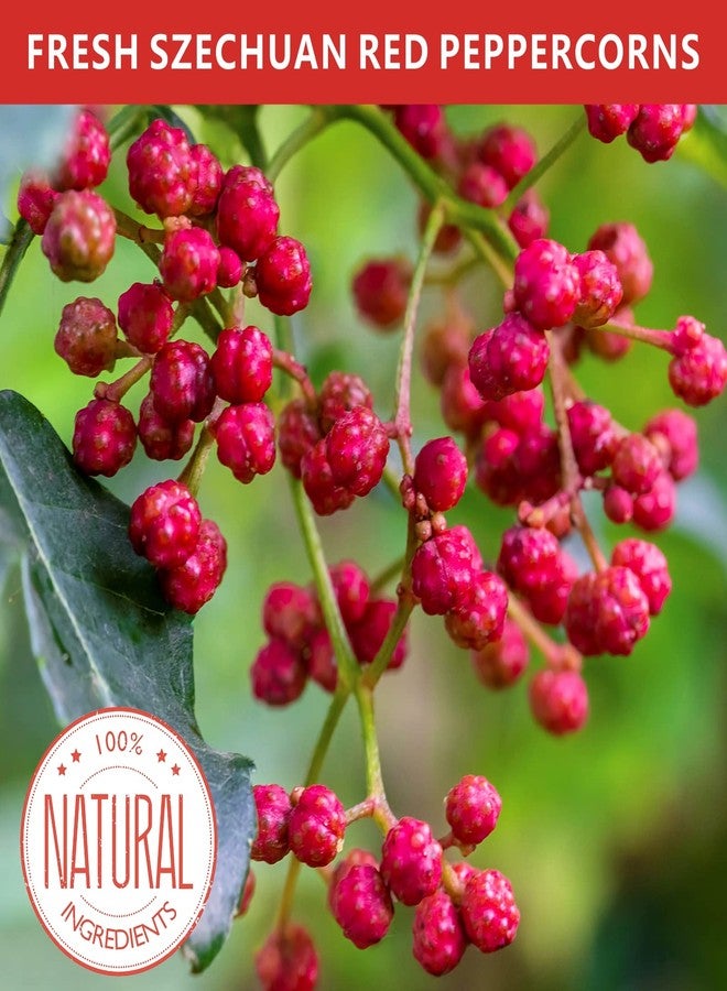 Yimi Sichuan Szechuan Peppercorns, Grade AAA Sichuan Whole Red Peppercorn, Strong Flavor for Mapo Tofu, Kung Pao Chicken, Ideal for Gift, 2.1 oz - Image 2
