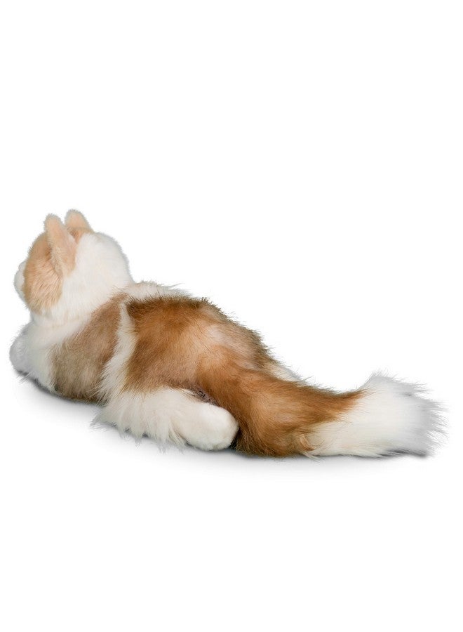 Douglas Kiki Ragdoll Cat Plush Stuffed Animal - Image 4