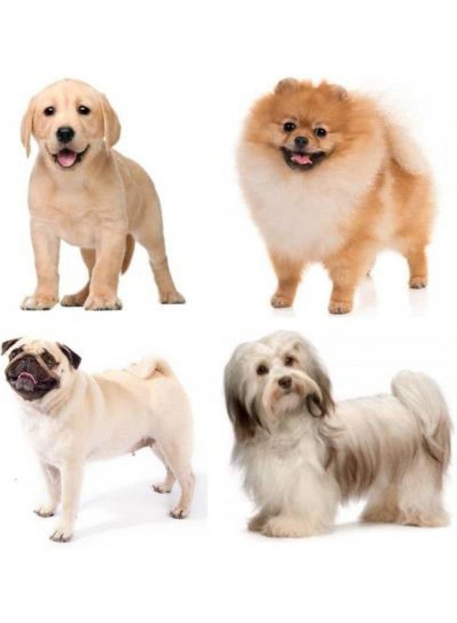 Single Door Folding Metal Dog Cage With Paw Protector, For Puppies And Kittens, Blue, 18 Inches - Image 3