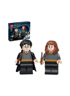 Harry Potter & Hermione Granger Set 76393