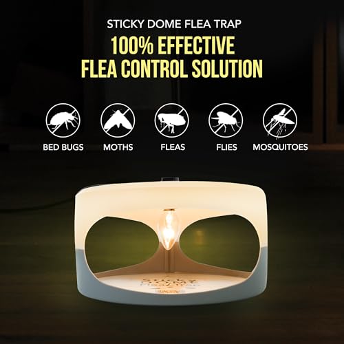 ASPECTEK Sticky Dome Flea Trap, Odorless Glue Trap with 2 Sticky Discs, Effective Bed Bug Killer and Flea and Tick Treatment, Indoor Insect Trap for Bugs, 2 Packs in White and Light Gray - Image 2