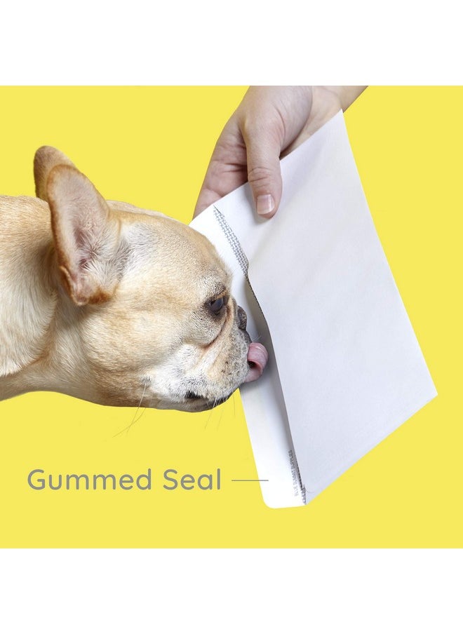 Blue Summit Supplies 5008 Gummed Double Window Security Check Envelopes Designed For Quickbooks Checks Business Mailing And Security Computer Printed Checks Gummed Flap 3 5/8 X 8 11/16  - Image 3