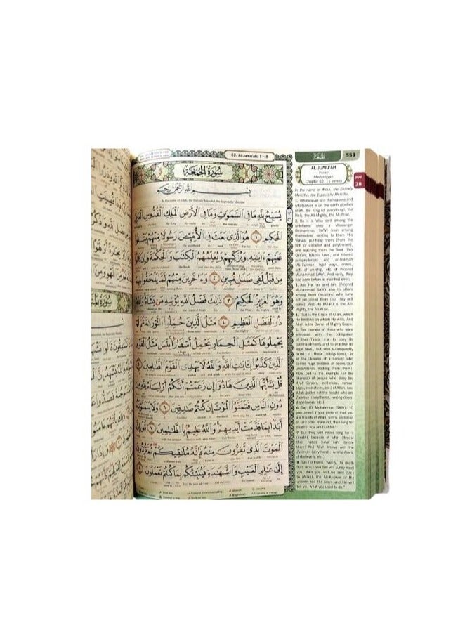 مقدس A4 متوسط ​​القرآن الكريم ترجمة كلمة بكلمة لون مرمز التجويد عربي-انجليزي، حجم كبير 20/28 سم - أبيض. - Image 4