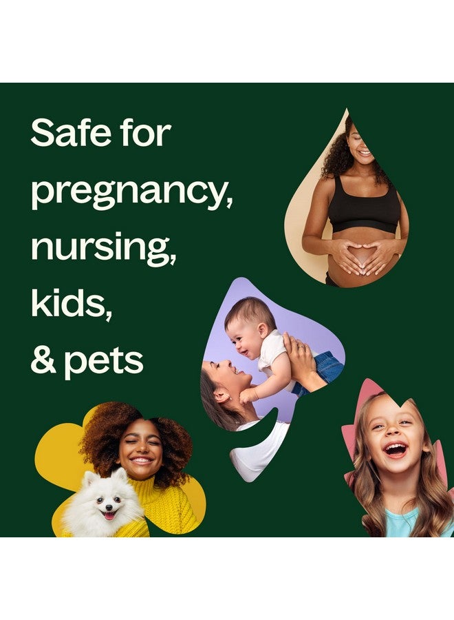 Plant Therapy Usda Certified Organic Spearmint Essential Oil 10 Ml (1/3 Oz) 100% Pure, Undiluted, Therapeutic Grade - Image 5