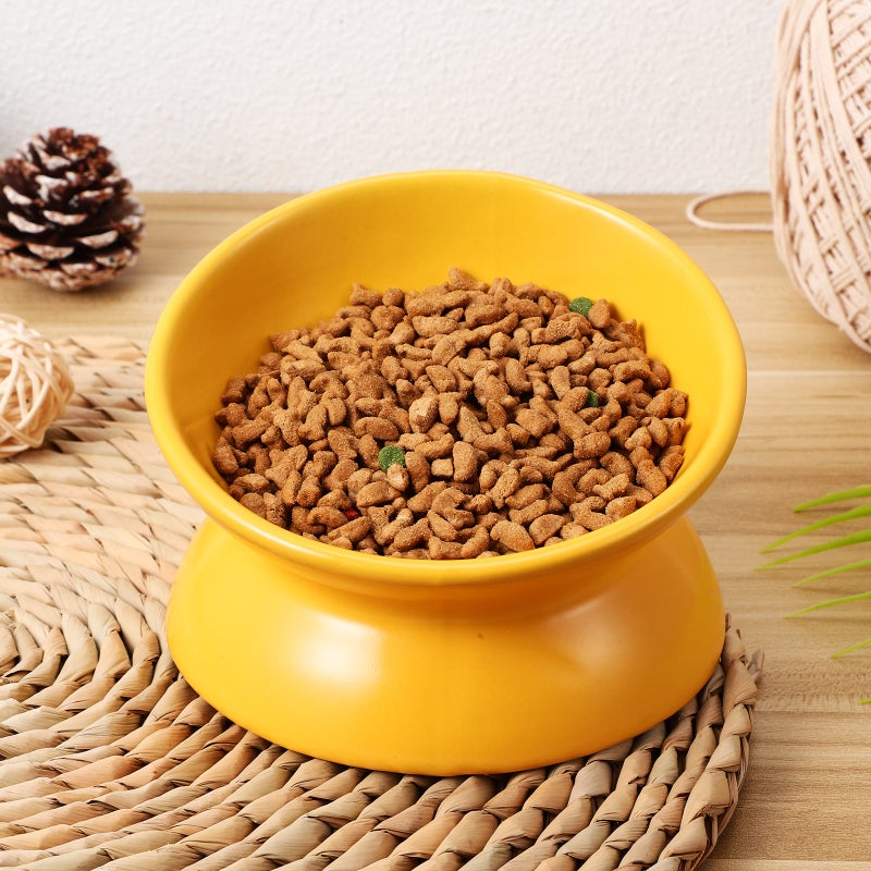 Bowl Ceramic Bowl Cat Bowl Elevated Cat Food Bowl Kitten Bowl Pet Feeder And Waterer - Image 4