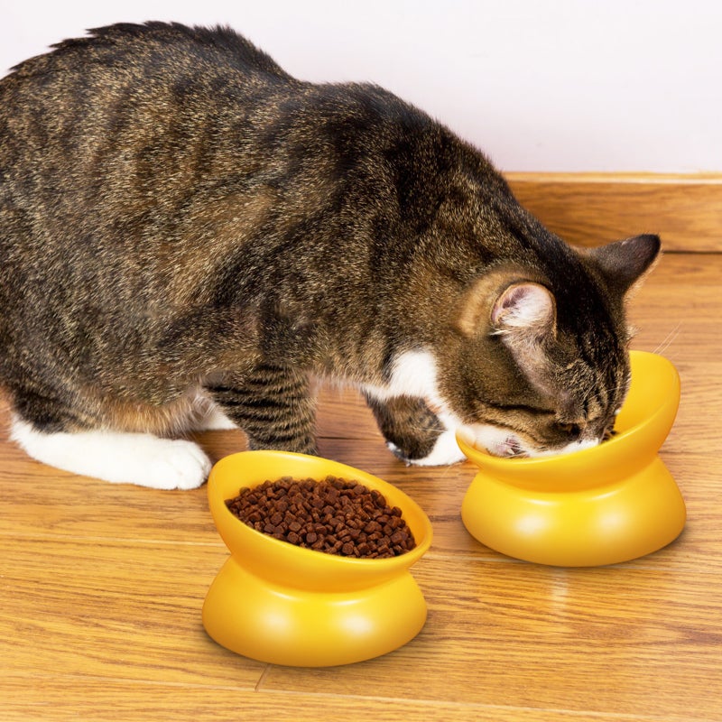 Bowl Ceramic Bowl Cat Bowl Elevated Cat Food Bowl Kitten Bowl Pet Feeder And Waterer - Image 5