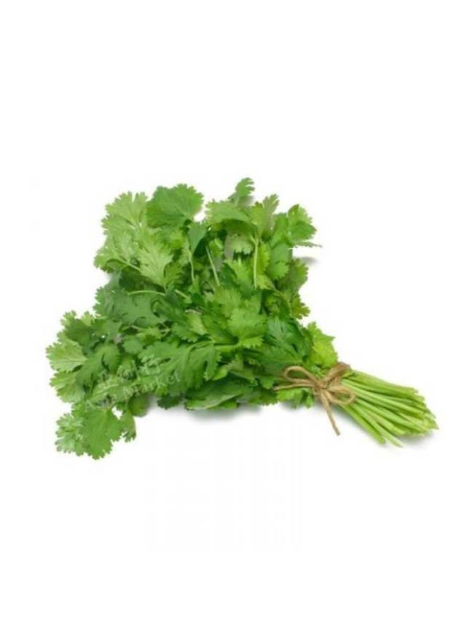 Coriander, 180g to 210g, UAE