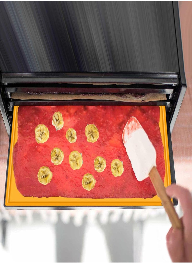 GGOOT - 5 Pcs Silicone Dehydrator Trays,Dehydrator Fruit Leather Trays | Reusable Dehydrator Mats Square Dryer Mats for Fruits, Meat, Vegetables - Image 1
