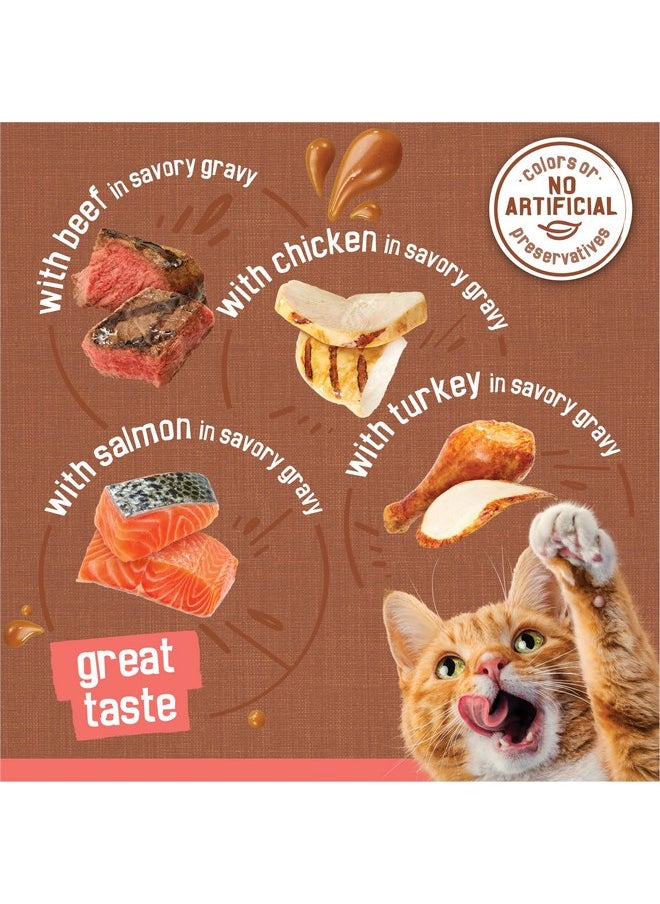 فريسكس طعام القطط الرطب Purina Friskies Extra Gravy Chunky، عبوة متنوعة من 24 قطعة (مع الدجاج والديك الرومي والسلمون واللحم البقري) - (عبوة من 24 قطعة) علب سعة 5.5 أونصة  - Image 2