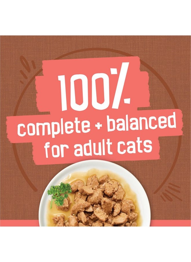 فريسكس طعام القطط الرطب Purina Friskies Extra Gravy Chunky، عبوة متنوعة من 24 قطعة (مع الدجاج والديك الرومي والسلمون واللحم البقري) - (عبوة من 24 قطعة) علب سعة 5.5 أونصة  - Image 3