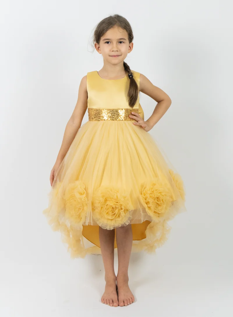 D'Daniela Floral Tulle Dress