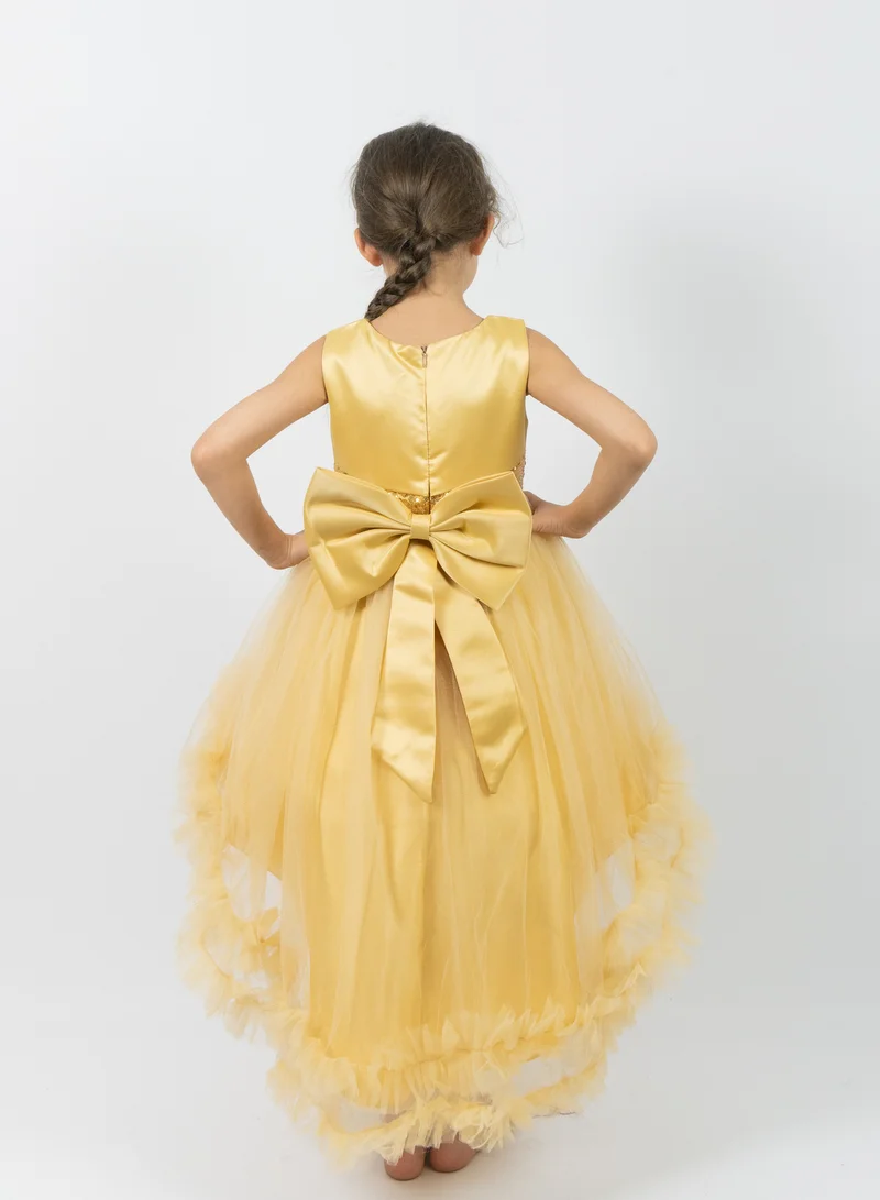 D'Daniela Floral Tulle Dress