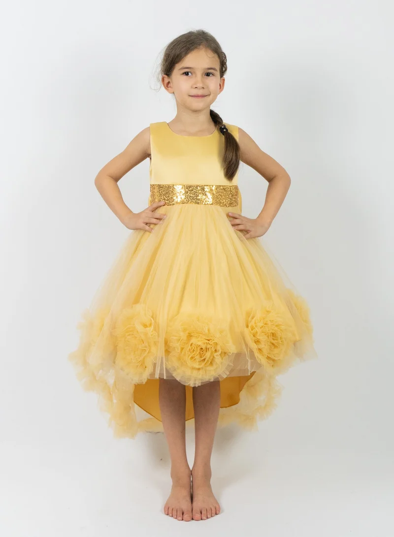 D'Daniela Floral Tulle Dress