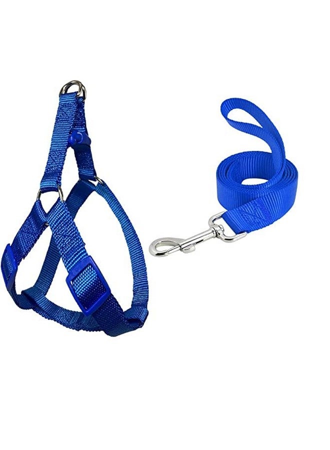مقود نايلون قابل للتعديل مقاس 15 مم مع مجموعة حزام مقاس 0.5 بوصة للكلاب الصغيرة والمتوسطة الحجم - أزرق - Image 1