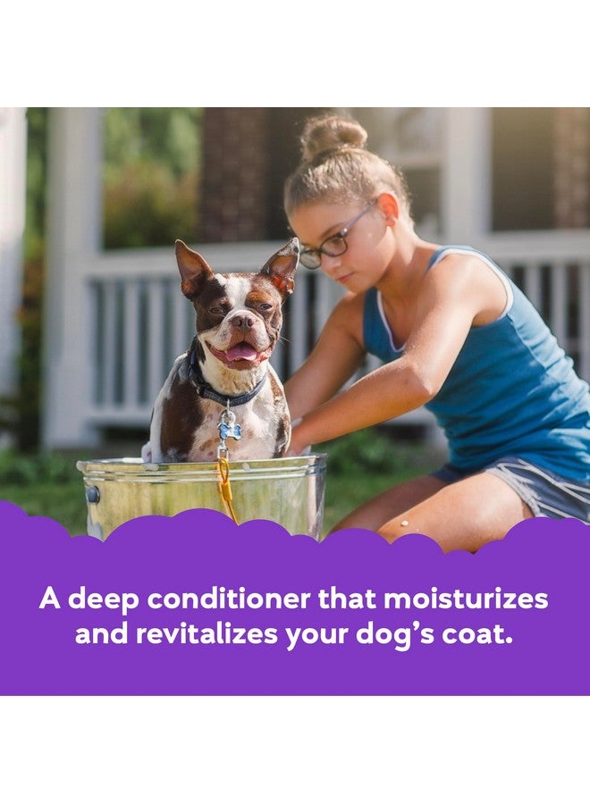 BUDDY BISCUITS Buddy Rinse Conditioner for Dog Grooming Dog, Lavender & Mint, 16 oz. Bottle - Image 3