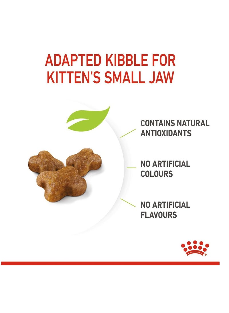 ROYAL CANIN طعام جاف للقطط الصغيرة من التغذية الصحية للمرحلة الثالثة 10 كجم - Image 3