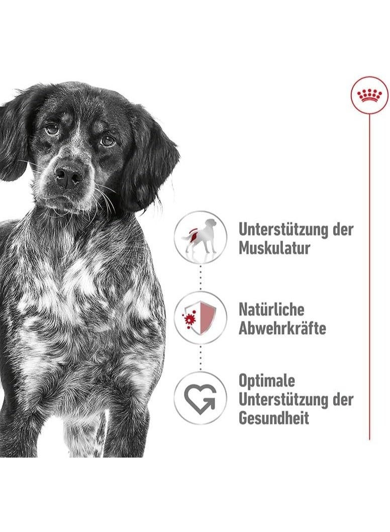 Royal Canin Medium Adult Wet Dog Food - 140G (Pack of 10) - Image 4