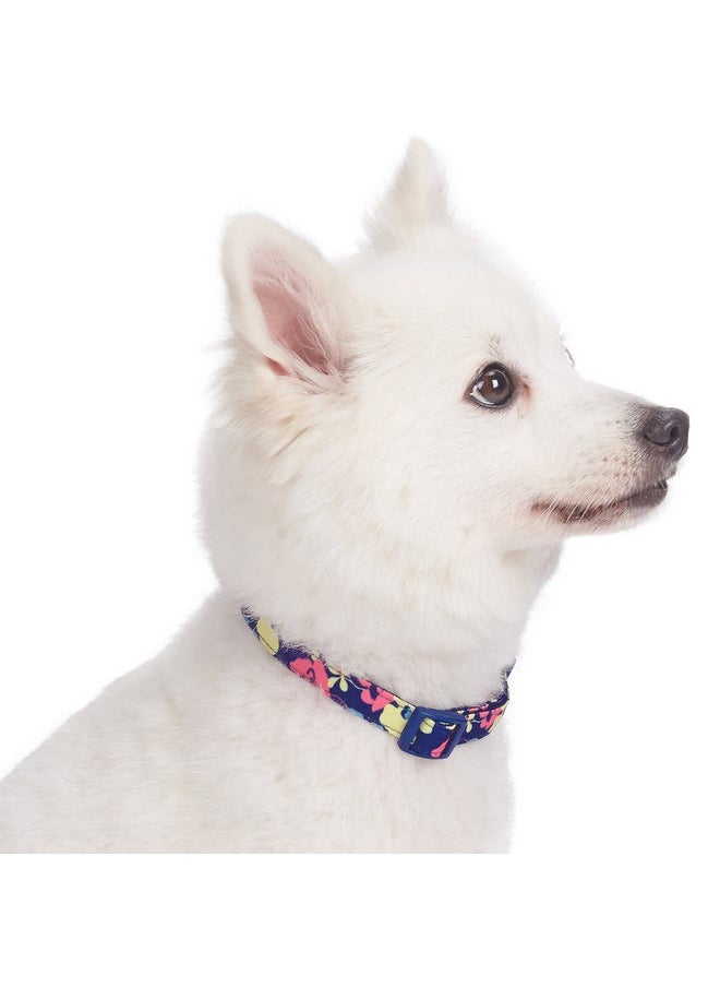 Blueberry Pet Made Well Profound Floral Print Adjustable Dog Collar in Navy Blue, X-Small, Neck 7.5"-10" - pzsku/Z57300CB9BC8567D53EE2Z/45/_/1737032204/b1dfa654-be03-4db3-8939-7c3b021602dd