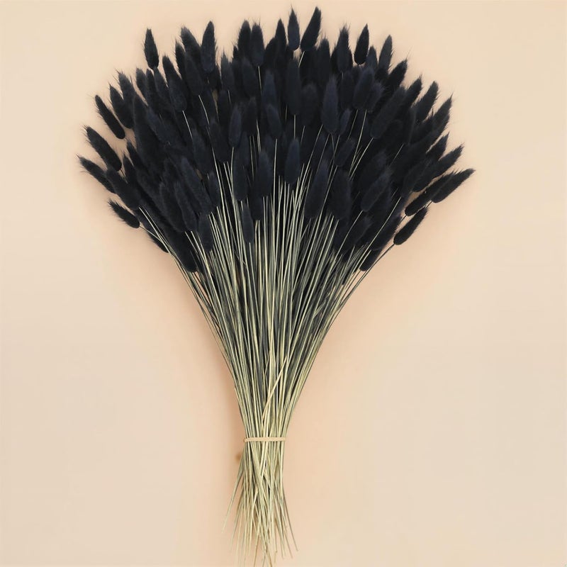 Johouse 120PCS Black Bunny Tails Dried Flowers, 17inch Dried Pampas Grass Decor, Bunny Tails Handpicked Bunch, Boho Flowers Home Table Decor, Wedding Decorations for Home - Image 1