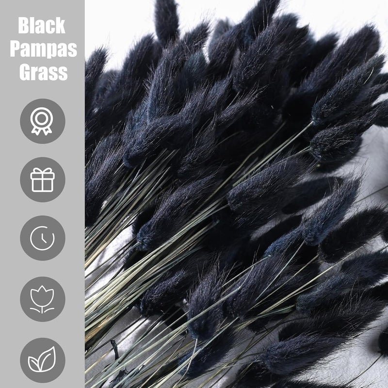 Johouse 120PCS Black Bunny Tails Dried Flowers, 17inch Dried Pampas Grass Decor, Bunny Tails Handpicked Bunch, Boho Flowers Home Table Decor, Wedding Decorations for Home - Image 4