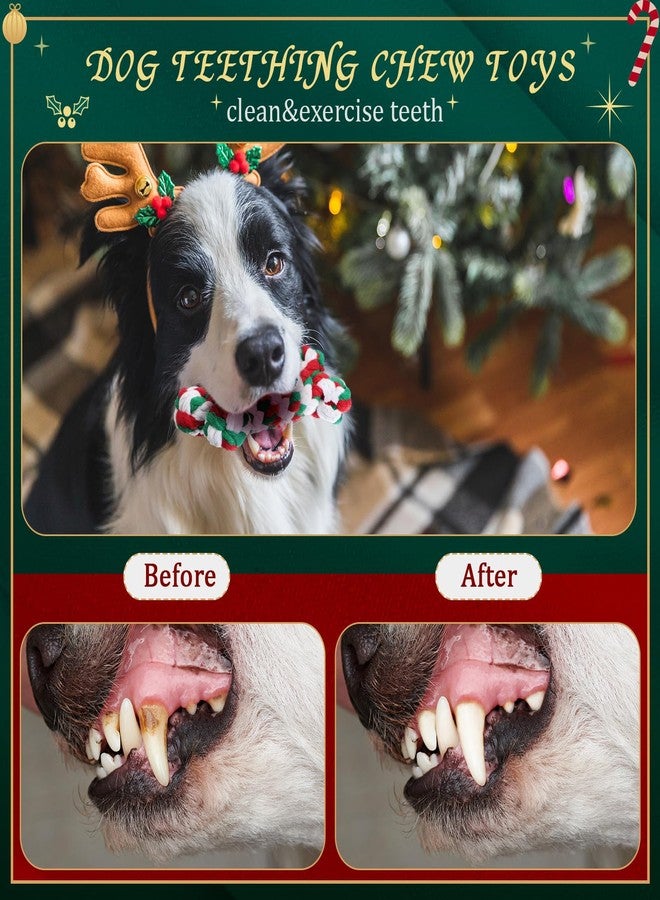 Glimin 24 Pcs Christmas Dog Rope Toys Pets Puppy Chew Interactive Toys Tough Christmas Colored Chew Training for Small Medium Large Pet Teething Cleaning Gifts(Funny Style) - Image 4