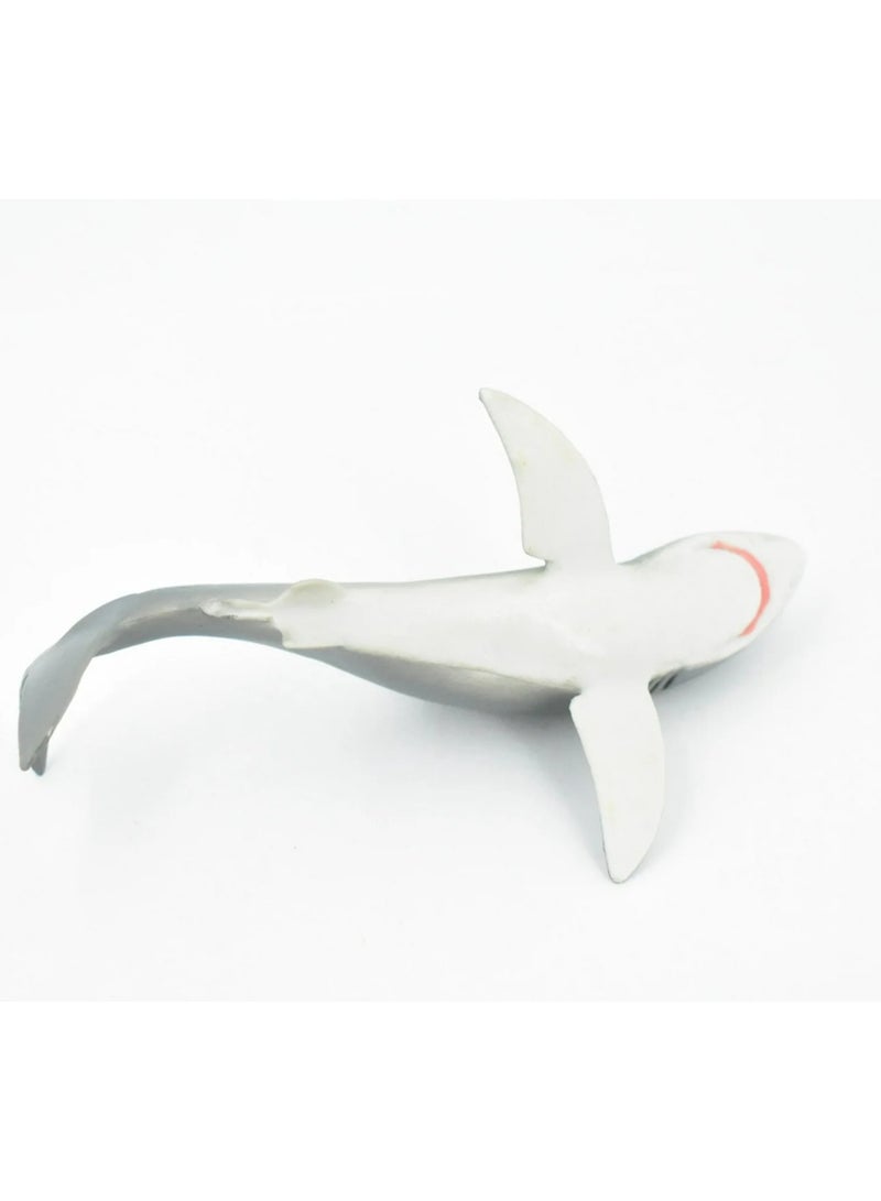 Great White Shark, Baby, Museum Quality, Hand Painted, Rubber Fish, Realistic Toy Figure, Model, Replica, Kids, Educational, Gift，Large Great White Shark Toy - Realistic Sea Creature Sharks Figure - Marine Life Plastic Shark for Boys Girls & Kids Ages 3+,  - Image 2