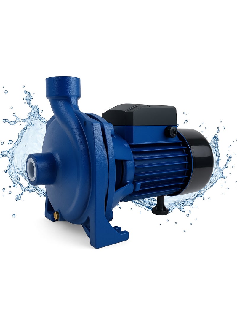 SUNRISE Garden Irrigation Water Pump 1HP 2HP 3HP Centrifugal Electric Pump with Brass Impeller Copper Motor for Clean Water Transfer and Pressure Boosting - Image 1