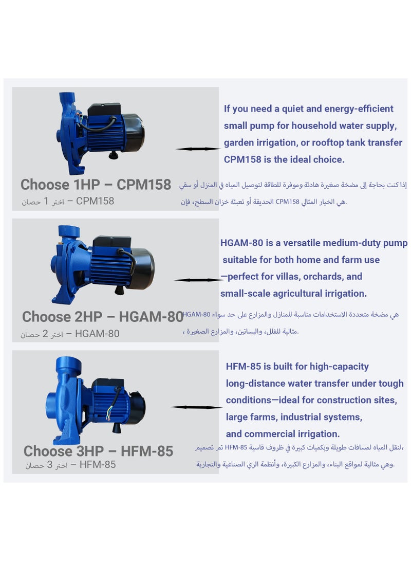 SUNRISE Garden Irrigation Water Pump 1HP 2HP 3HP Centrifugal Electric Pump with Brass Impeller Copper Motor for Clean Water Transfer and Pressure Boosting - Image 2