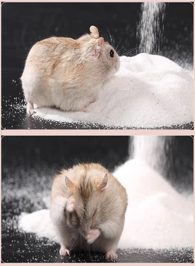 DR.DUDU Hamster Bath Sand, 6.6lb Dust Free Desert Sand or Potty Litter Sand for Hamster Chinchillas Gerbil Syrian Mice Small Animals (White) - Image 4