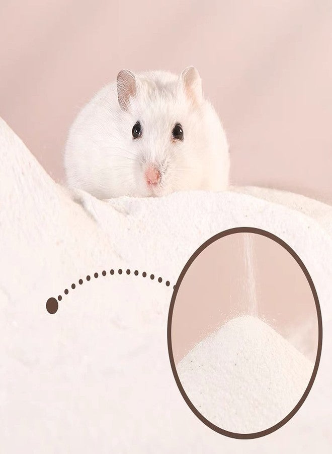 DR.DUDU Hamster Bath Sand, 6.6lb Dust Free Desert Sand or Potty Litter Sand for Hamster Chinchillas Gerbil Syrian Mice Small Animals (White) - Image 3