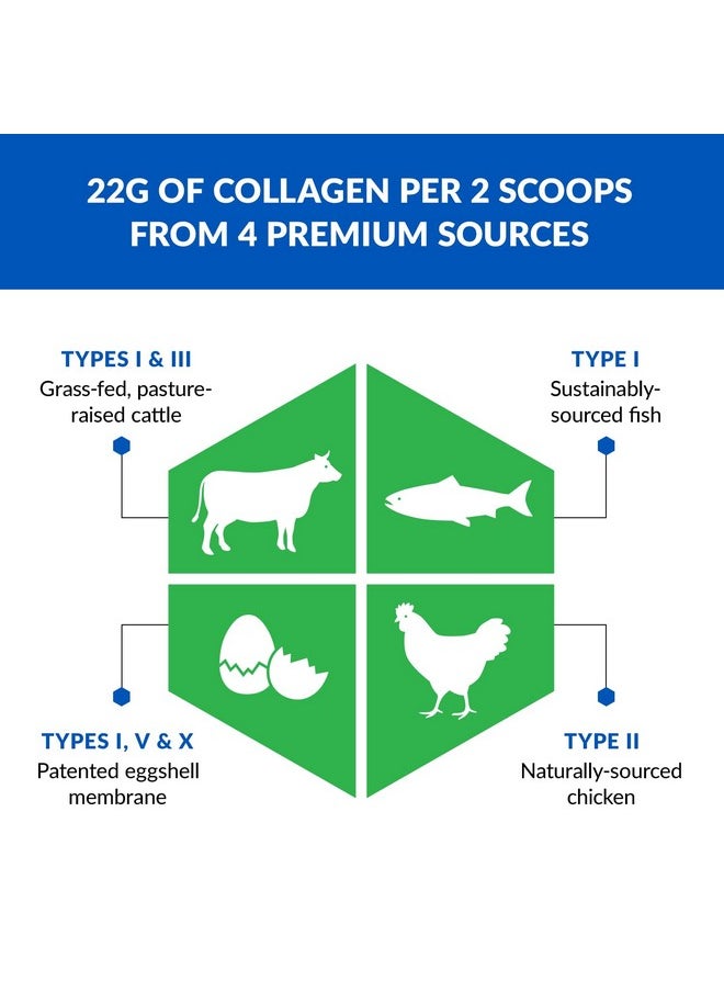 BioTrust BioTrust Ageless Multi Collagen Peptides Powder - 5 Types (I, II, III, V, X) - Unflavored Collagen Powder for Women & Men - Hydrolyzed Protein - Grass Fed Beef, Fish, Chicken, Eggshell Membrane, 3-pk  - Image 4